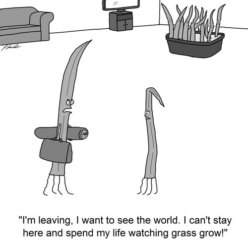 'I'm leaving, I want to see the world. I can't stay here and spend my life watching grass grow!'