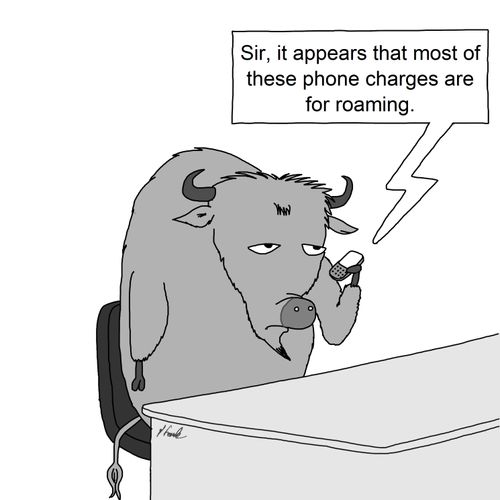 'Sir, it appears that most of these phone charges are for roaming.'