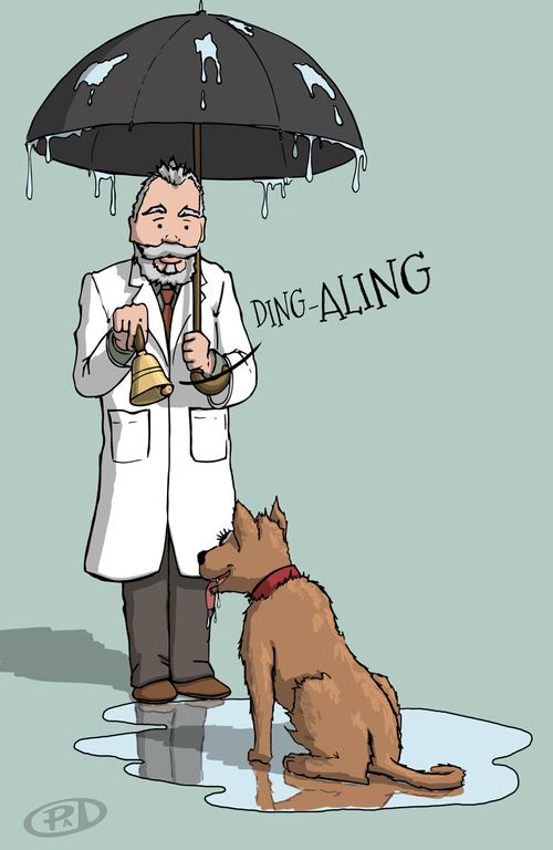 Pavlov rings his bell as the dog drools.