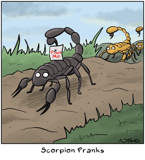 Scorpion Pranks