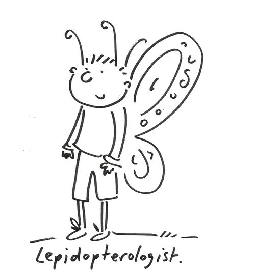 Lepidopterologist