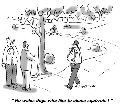 'He walks dogs that like to chase squirrels!'