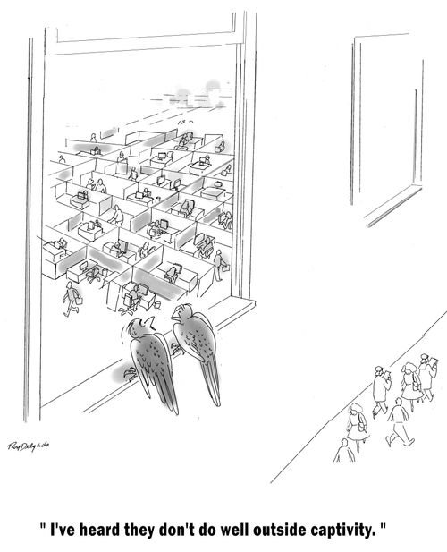 'I've heard they don't do well outside captivity.'