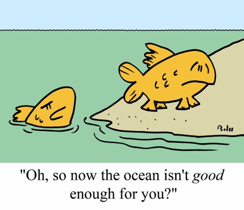 'Oh, so now the ocean isn't GOOD enough for you?'