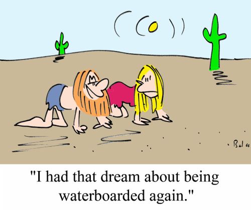 'I had that dream about being waterboarded again.'