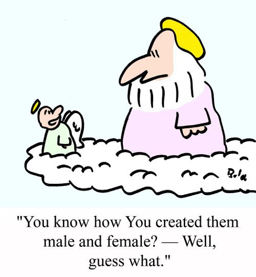 'You know how You created them male and female? -- Well, guess what.'