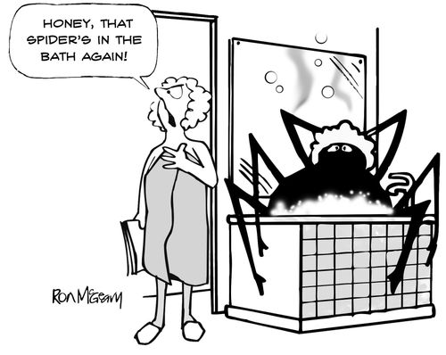 'Honey, that spider's in the bath again!'