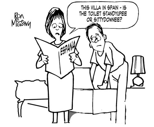 'This villa in Spain - is the toilet standyupee or sittydownee?'