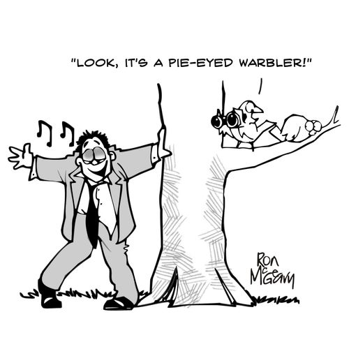 'Look, it's a pie-eyed warbler!'