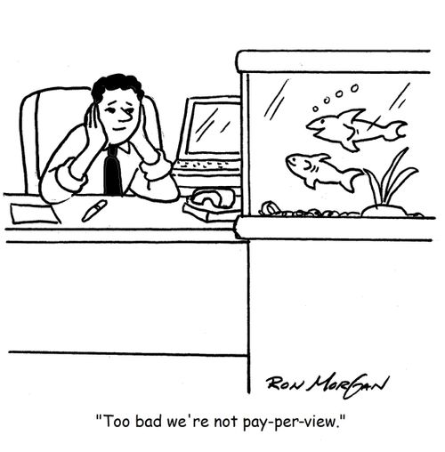 'Too bad we're not pay-per-view.'