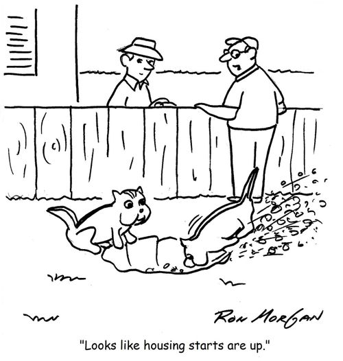 'Looks like housing starts are up.'