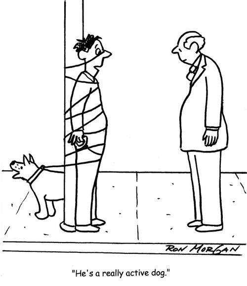 'He's a really active dog.'