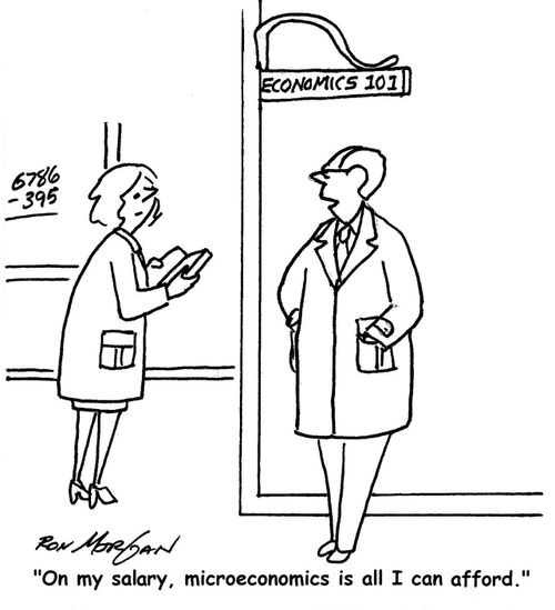 'On my salary, microeconomics is all I can afford.'