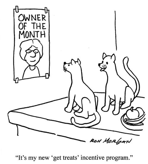 'It's my new 'get treats' incentive program.'