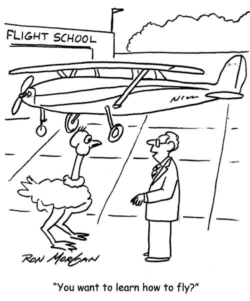'You want to learn how to fly?'