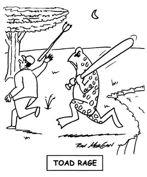 Toad Rage