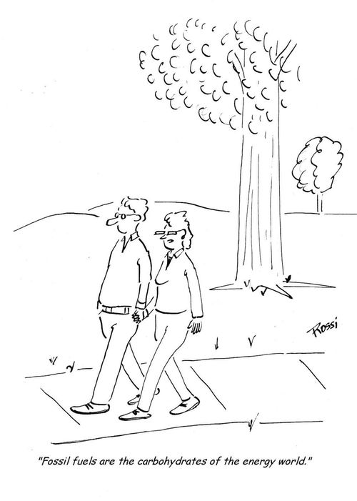 'Fossil fuels are the carbohydrates of the energy world.'