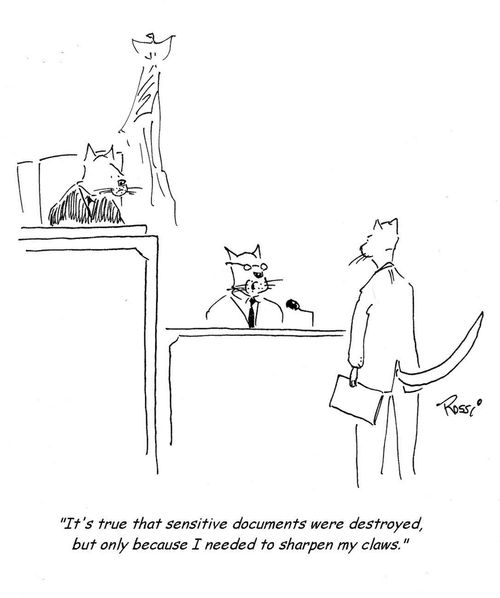 'It's true that sensitive documents were destroyed, but only because I needed to sharpen my claws.'