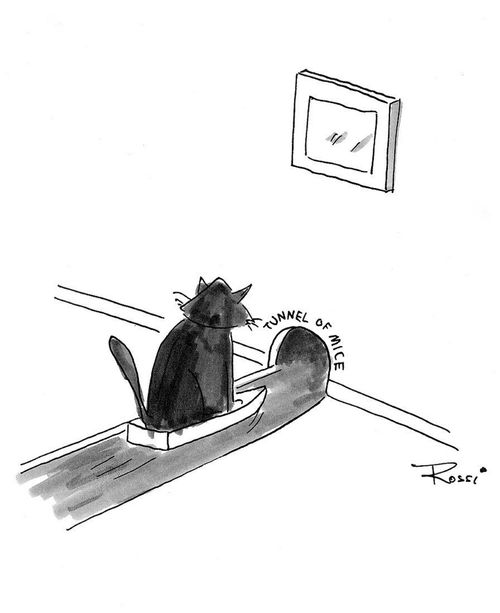 Tunnel of Mice
