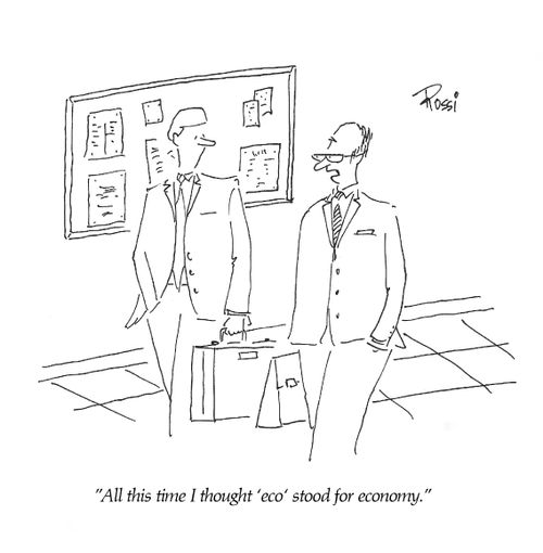 'All this time I thought 'eco' stood for economy.'