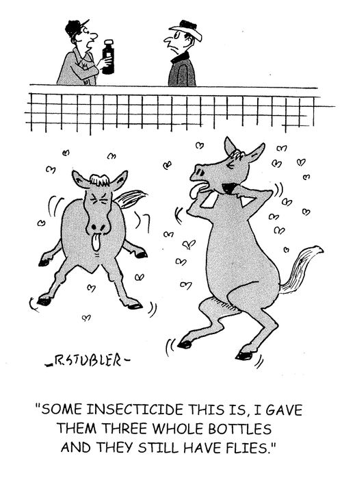 'Some insecticide this is,I gave them three whole bottles and they still have flies.'