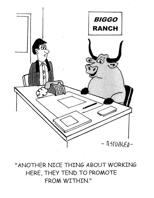 'Another nice thing about working here, they tend to promote from within.'