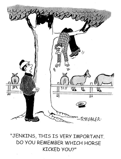 'Jenkins, this is very important. Do you remember which horse kicked you?'