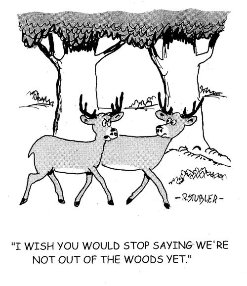 'I wish you would stop saying we're not out of the woods yet.'