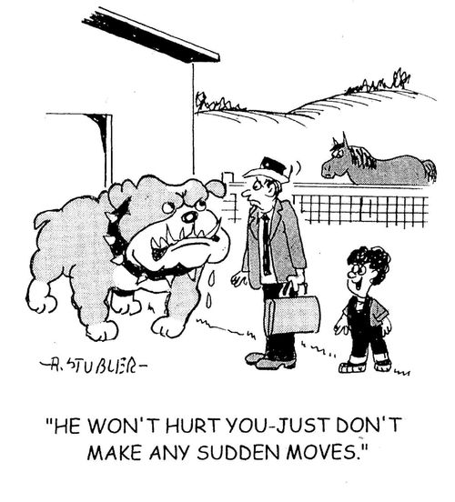 'He won't hurt you - just don't make any sudden moves.'