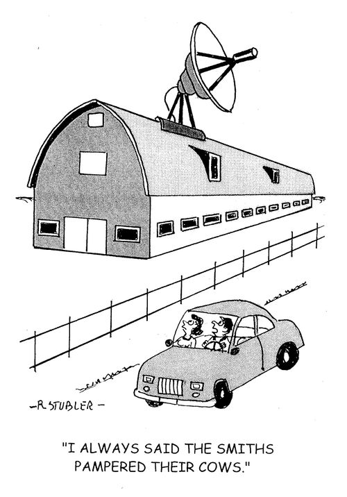 'I always knew the Smiths pampered their cows.'