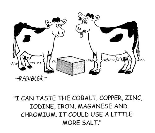 'I can taste the cobalt, copper, zinc, iodine, maganese and chroium. It could use a little more salt.'