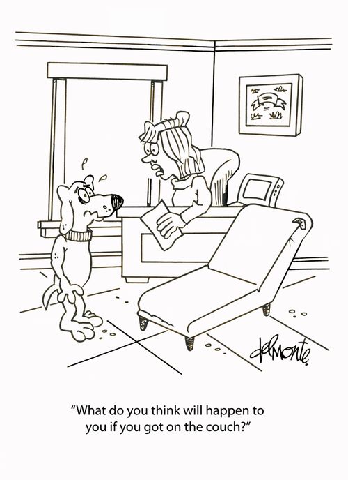 'What do you think will happen to you if you got on the couch?'