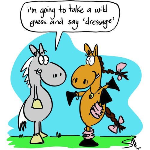 'I'm going to take a wild guess and say 'dressage'.'