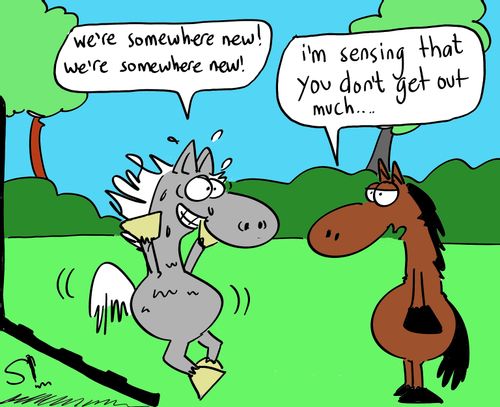 'We're somewhere new! We're somewhere new!'