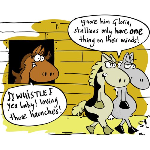 'Ignore him Gloria, stallions only have one thing on their minds!'
