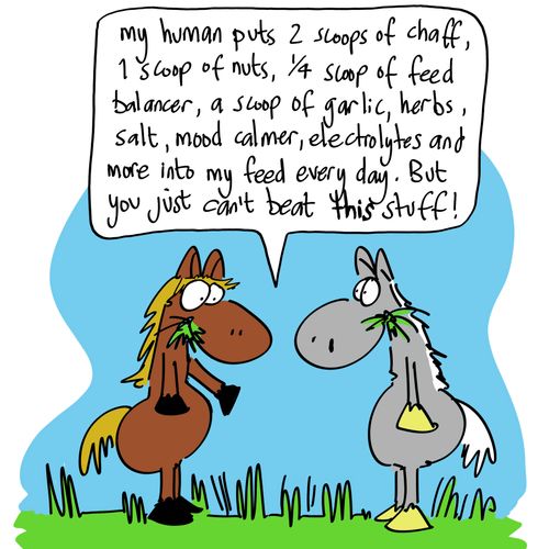 'My human puts two scoops of chaff, one scoop of nuts, 1/4 scoop of feed balancer, a scoop of garlic, herbs, salt, mood calmer, electrolytes and more into my feed every day. But you just can't beat this stuff!'