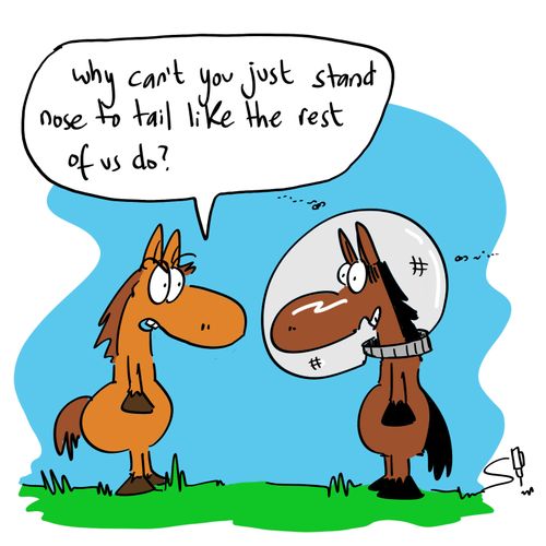 'Why can't you just stand nose to tail like the rest of us do?'