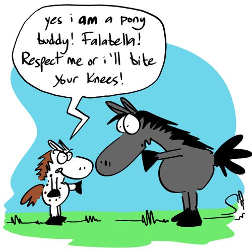 'Yes I am a pony buddy! Falabella! Respect me or I'll bite your knees!'