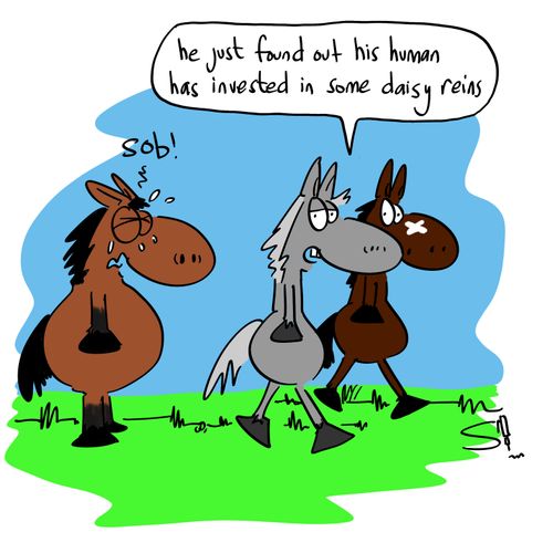 'He just found out his human has invested in some daisy reins.'
