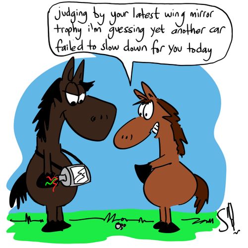 'Judging by your latest wing mirror trophy I'm guessing that yet another car failed to slow down for you today.'