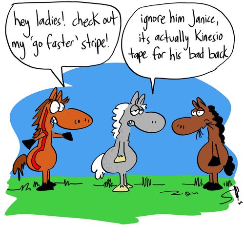 'Hey ladies! Check out my go faster stripes!'
