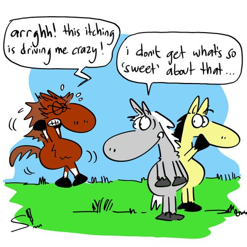 'Argh! This itching is driving me crazy!'