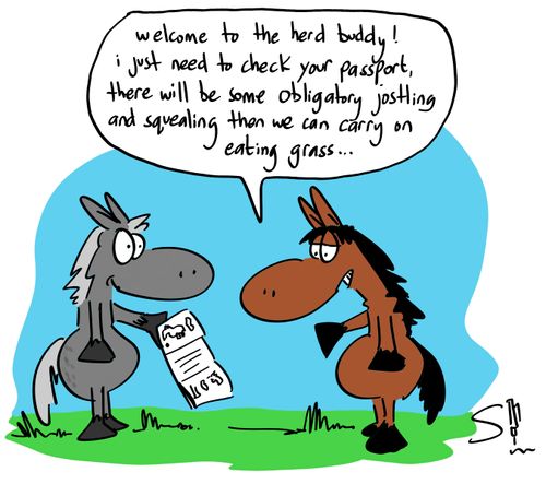 'Welcome to the herd buddy! I just need to check your passport, there will be some obligatory jostling and squealing then we can carry on eating grass...'