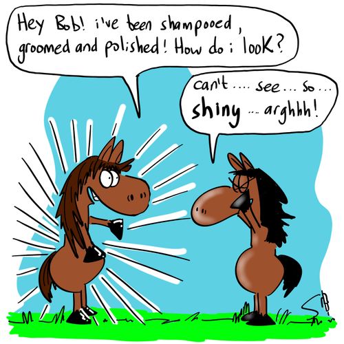 'Hey Bob! I've been shampooed, groomed and polished! How do I look?'