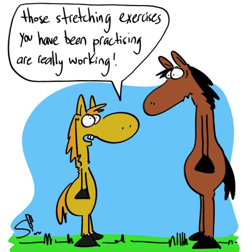 'Those stretching exercises you have been practicing are really working!'