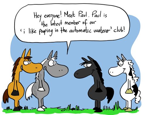 'Hey everyone! Meet Paul. Paul is the latest member of our 'I like pooping in the automatic waterer' club!'