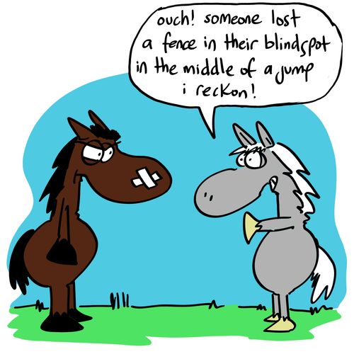 'Ouch! Someone lost a fence in their blind spot in the middle of a jump I reckon!'