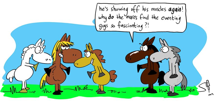 'He's showing off his muscles again! Why do the mares find the eventing guys so fascinating?!'