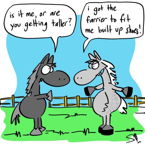 'Is it me or are you getting taller?'