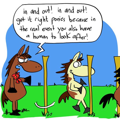 'In and out! In and out! Get it right ponies because in the real event you also have a human to look after!'